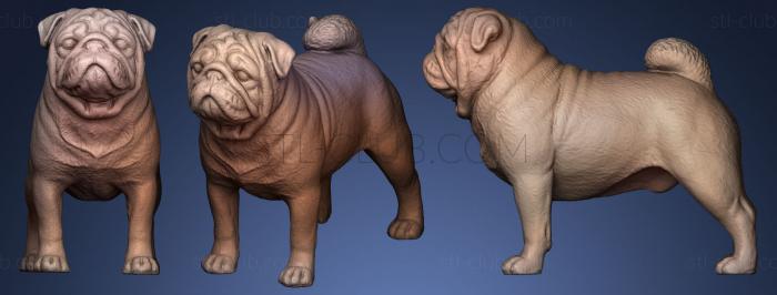 3D мадэль Мопс-Собака (STL)